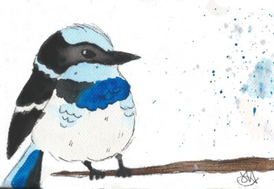 Little Blue Bird