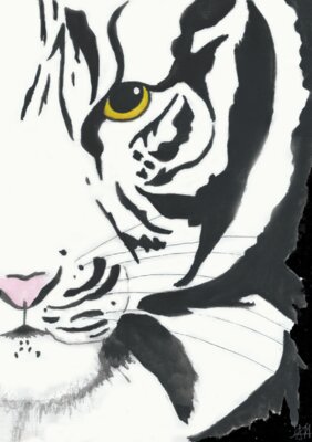 Black and White Tiger