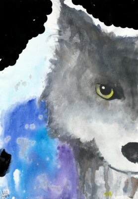 Wolf